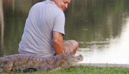 Amizade de professor e jacaré no Acre comove e faz sucesso nas redes
