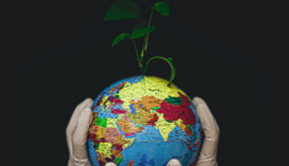 biodiversidade