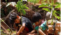 Voluntários e crianças plantam árvores frutíferas doadas em aldeias guarani