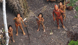 Terras indígenas com povos isolados são as mais ameaçadas da Amazônia