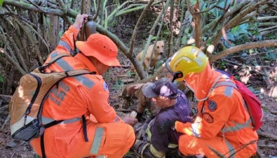 Cachorro de idoso perdido na mata chama bombeiros para resgatá-lo