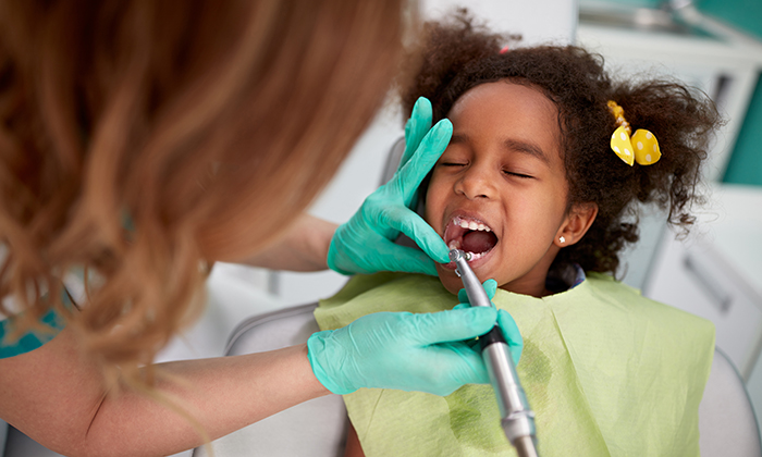 dente, odontologia, dentista