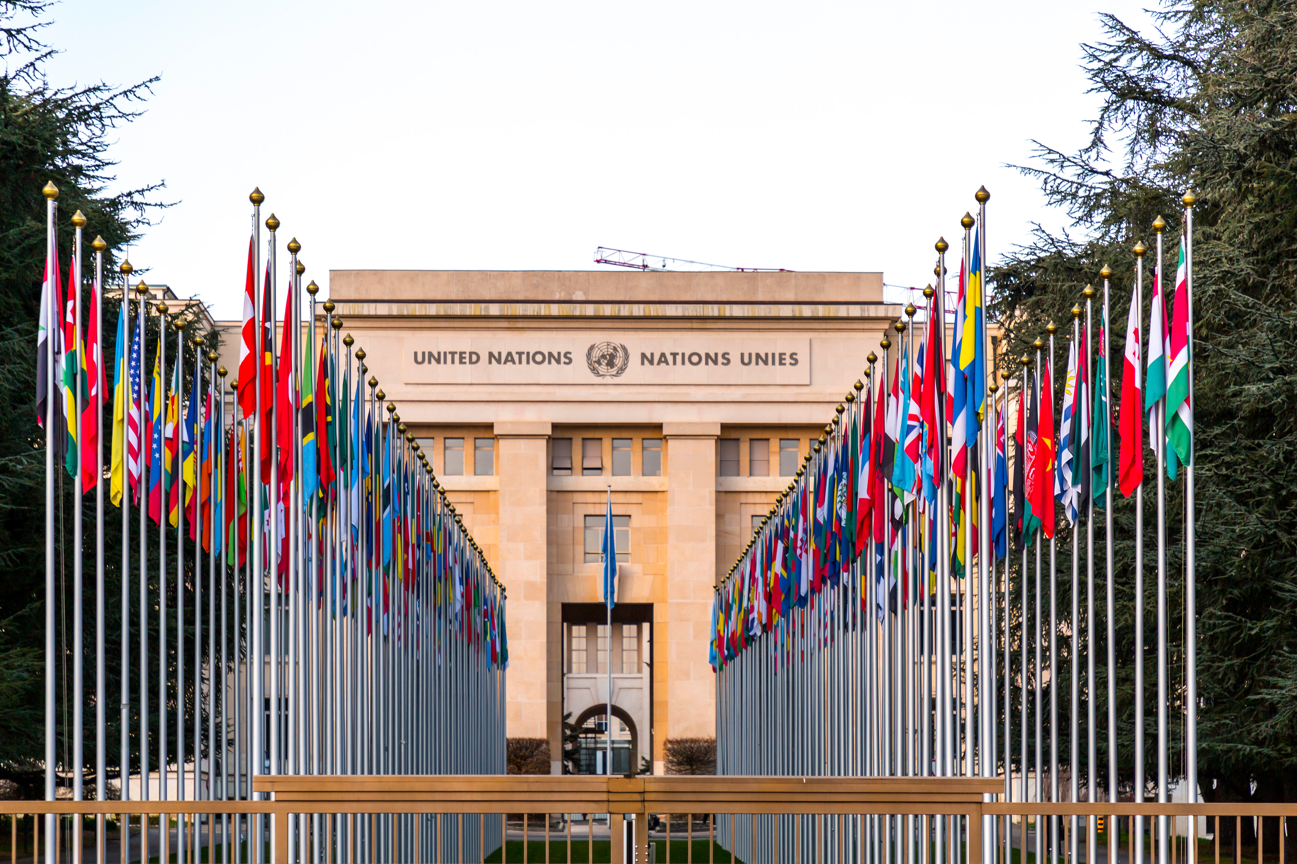 ONU