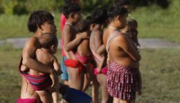 Senador a favor do garimpo vai presidir comissão da crise yanomami