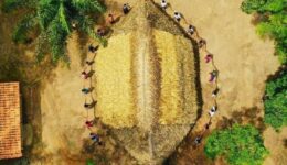 Proteger territórios indígenas reduz impactos à saúde e ao meio ambiente