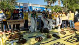 organizações ambientais