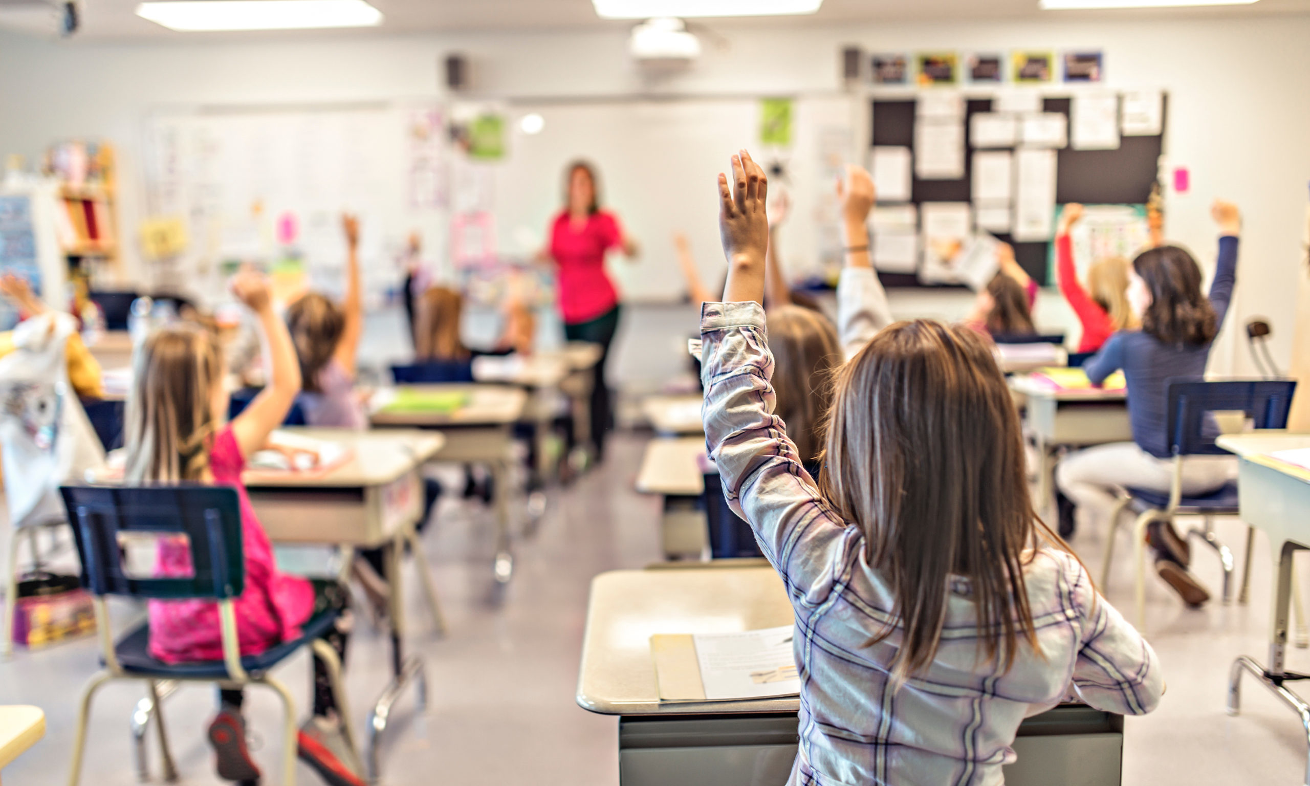 Revolução educacional em SP é narrada em livro de Rose Neubauer