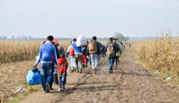 refugiados