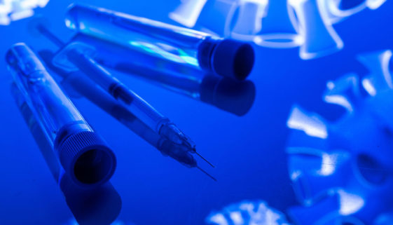 Estudo identifica proteína e traz esperança para vacina contra febre maculosa
