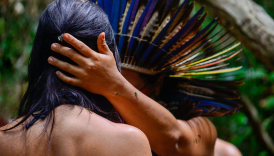 Fundo Brasil lança campanha: "Povos indígenas pedem socorro"