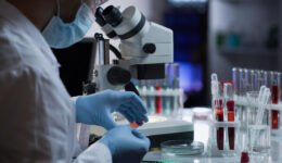 Vírus emergente é detectado em bancos de sangue de 3 regiões brasileiras