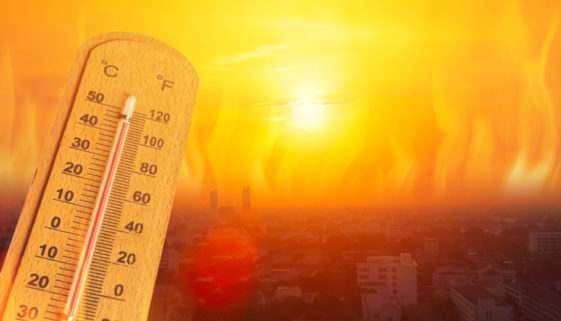 ONU alerta: julho pode se tornar o mês mais quente da história do planeta