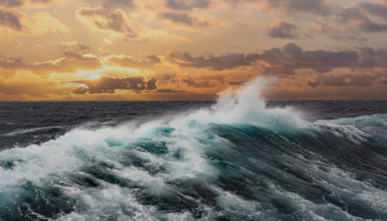 Oceanos batem recorde de temperatura e cientistas alertam: ameaça imediata