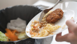 No Brasil, famílias desperdiçam um salário mínimo de comida por ano