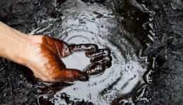 Parecer da AGU favorece exploração de petróleo na bacia da foz do Rio Amazonas
