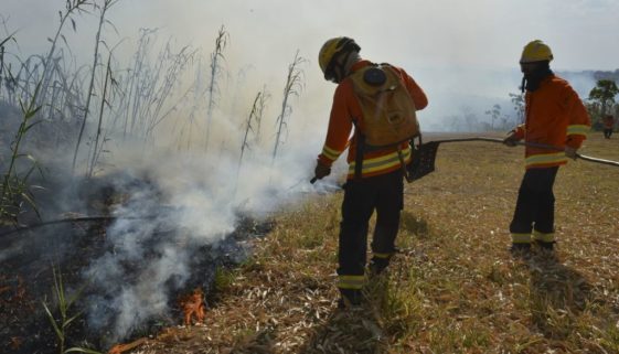 incêndios florestais, queimadas
