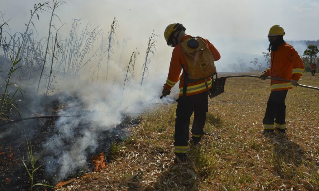 incêndios florestais, queimadas