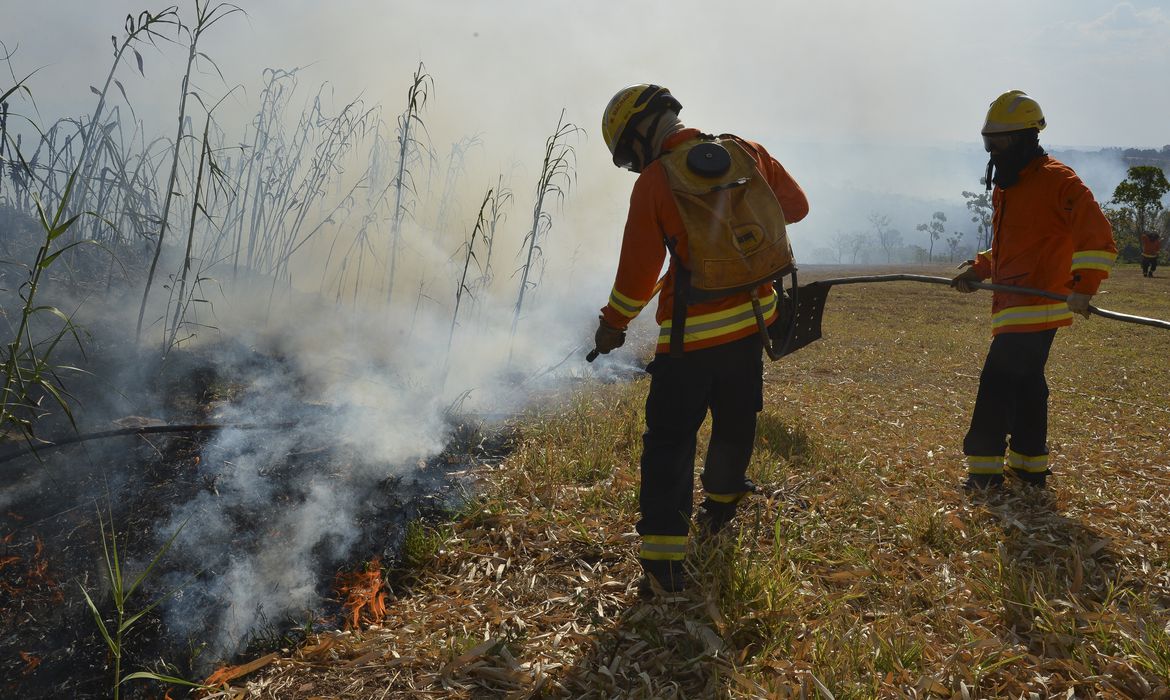 incêndios florestais, queimadas