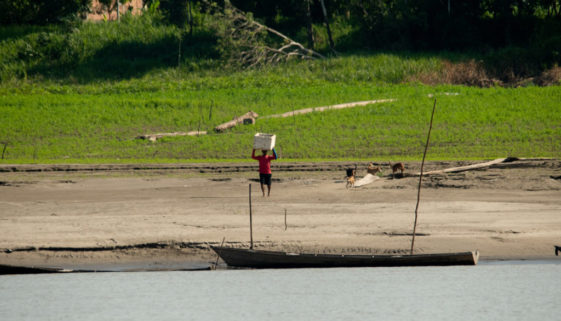 Seca histórica no Amazonas pode deixar 500 pessoas sem água e comida