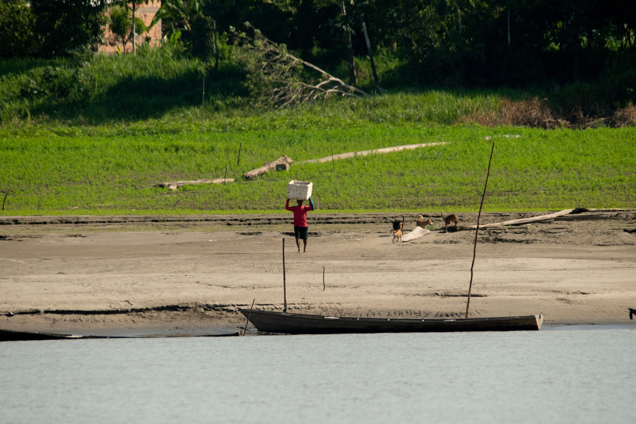 Seca no as deixa cidades isoladas e com escassez de alimento -  Amazônia Real