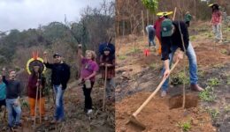 Voluntários se unem para reflorestar terra indígena atingida por incêndio
