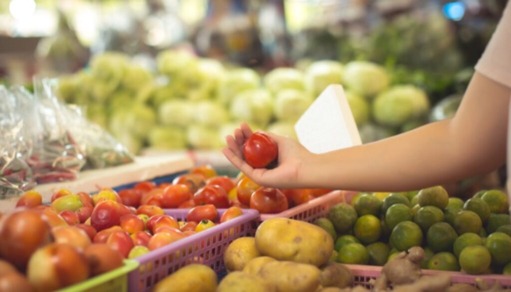 Alimentação