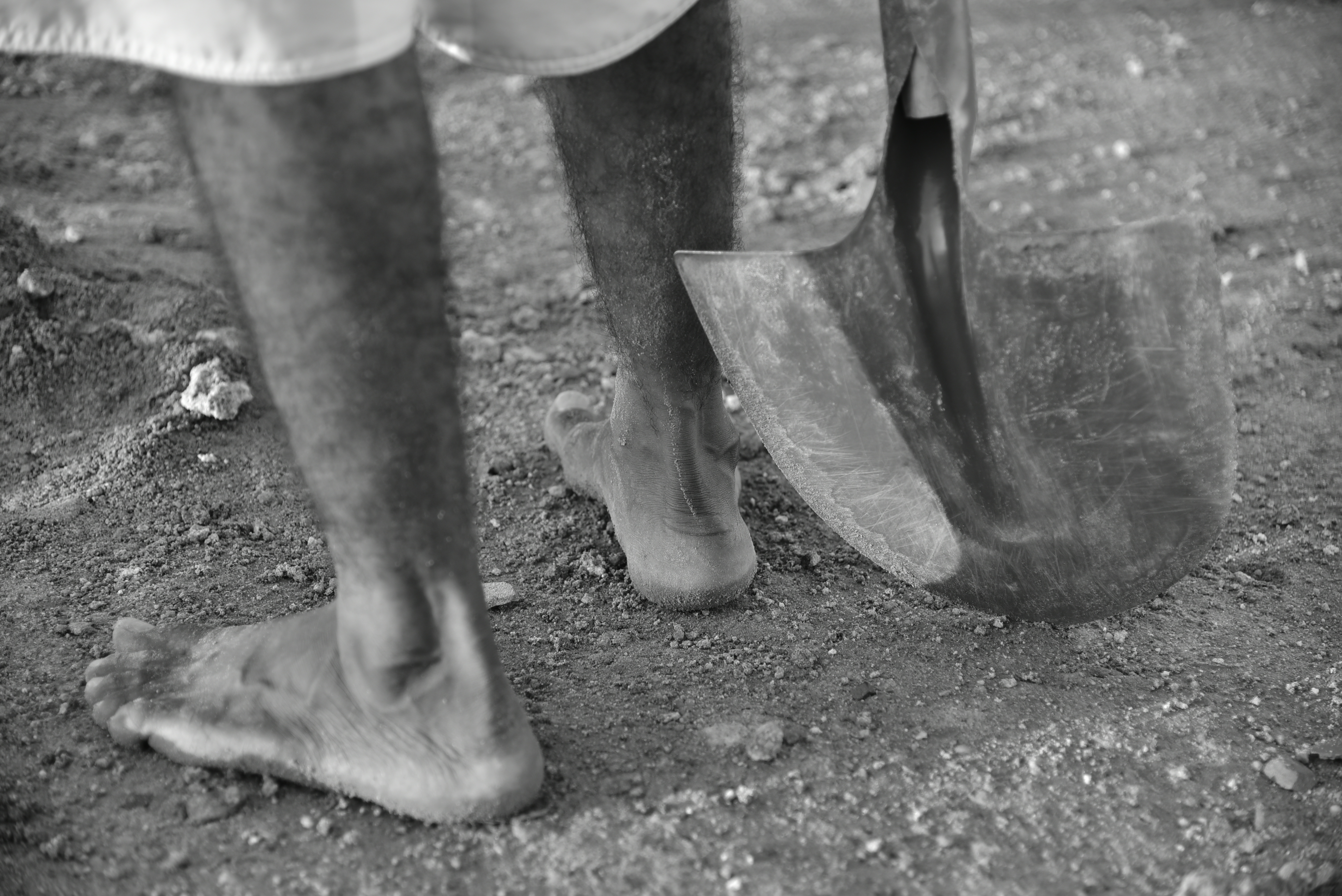 'Lista suja' do trabalho escravo no Brasil tem 473 nomes