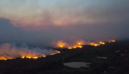 incêndios no Pantanal