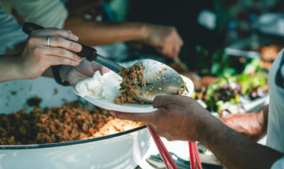 alimentação
