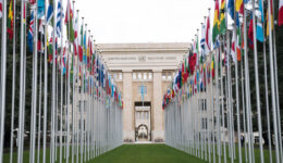 COP-28 ONU
