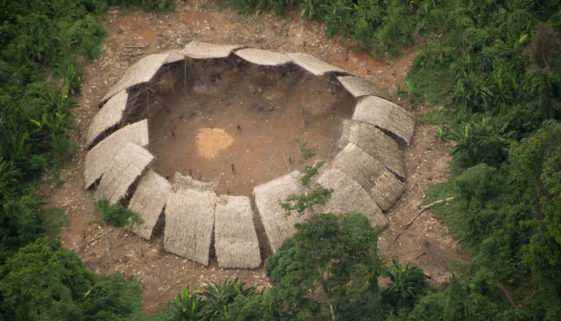 Urihi Associação Yanomami denuncia risco de genocídio de indígenas isolados