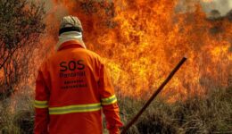 SOS Pantanal lança campanha de doações para as Brigadas Pantaneiras