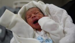 ONU: ataques a hospitais em Gaza resultaram em mortes de bebês