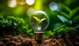 sustentabilidade