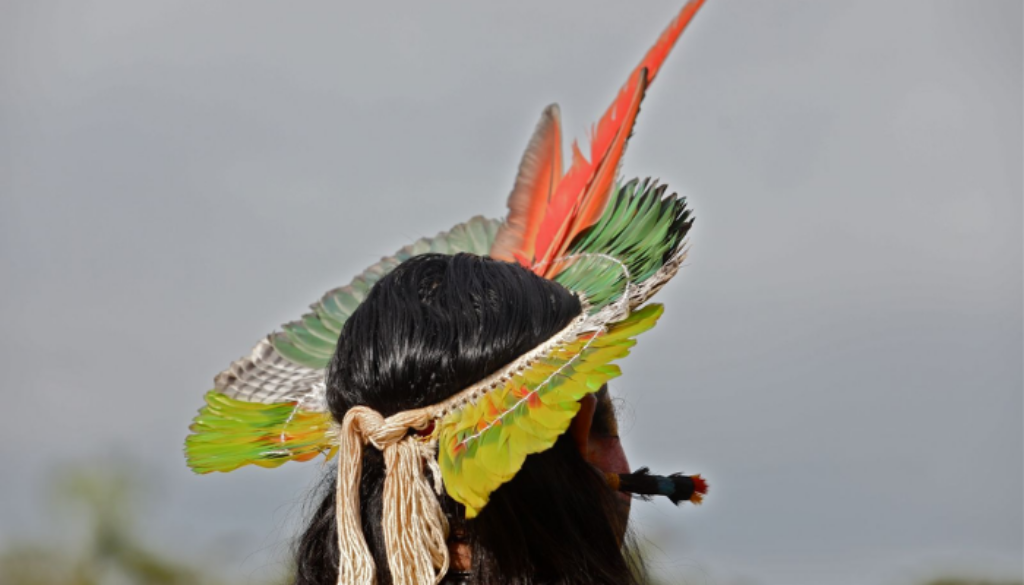 crise dos yanomami