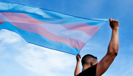 Enciclopédia dá visibilidade às histórias de pessoas trans no Brasil