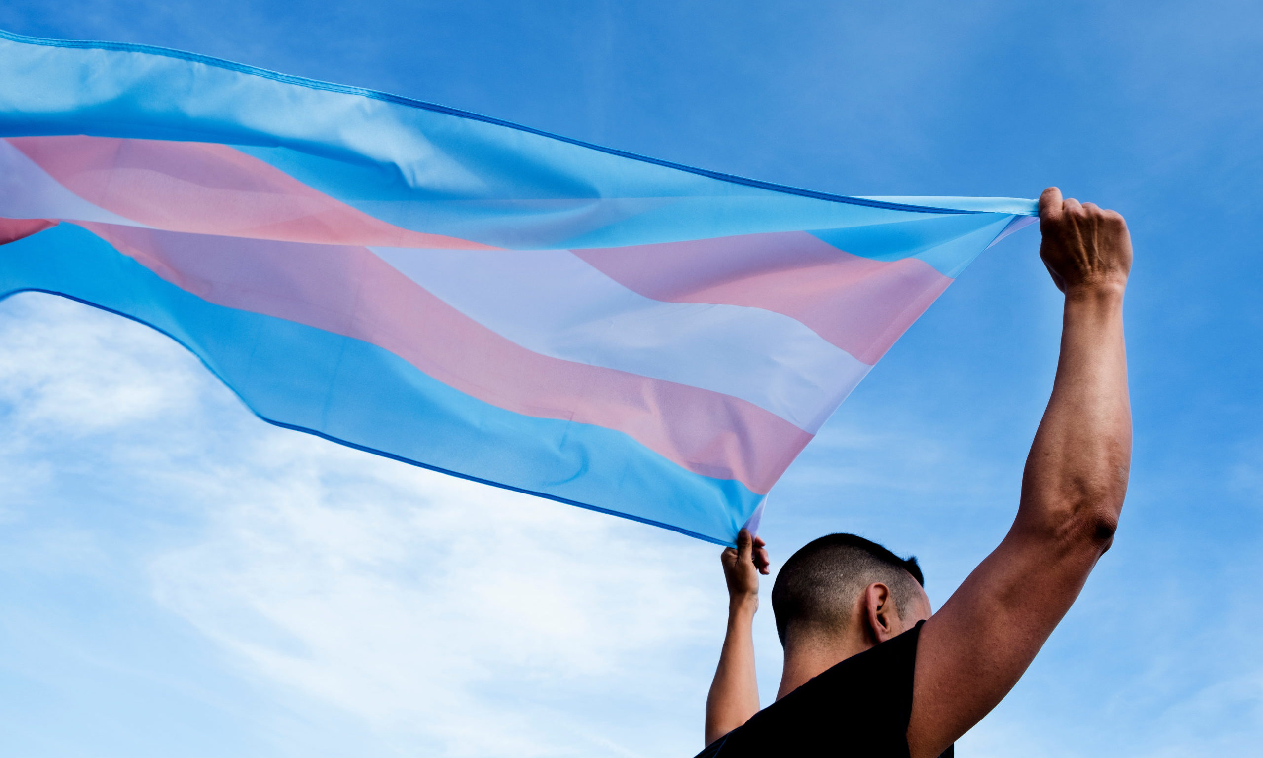 Enciclopédia dá visibilidade às histórias de pessoas trans no Brasil