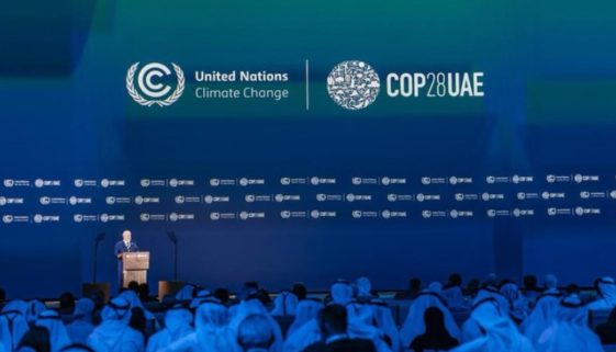 COP 28: Compromisso Brasileiro da Filantropia sobre Mudanças Climáticas é lançado em Dubai