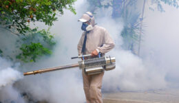 dengue