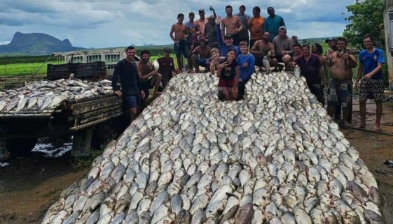 Casal pesca 3 toneladas de peixes e doa para comunidade no ES