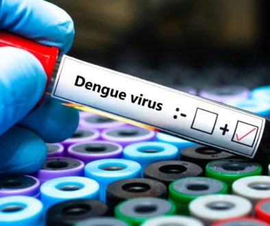Brasil tem 831 mortes e chega a 2,3 milhões de casos prováveis de dengue