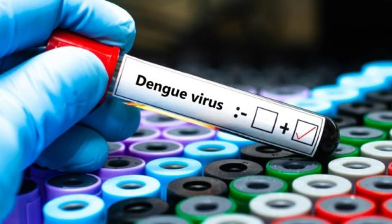 Brasil tem 831 mortes e chega a 2,3 milhões de casos prováveis de dengue
