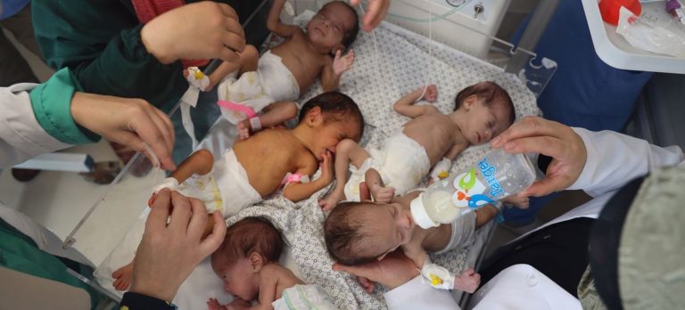 Crueldade: recém-nascidos morrem de fome em Gaza