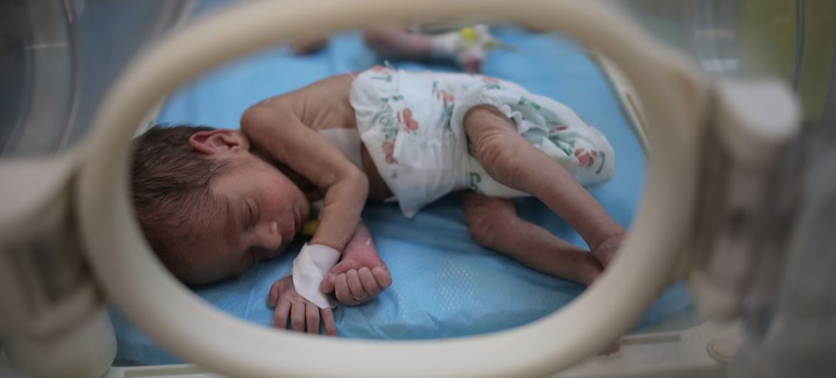 Gaza: aumenta o número de recém-nascidos à beira da morte