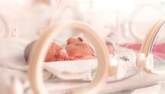 terapia fetal e neonatal