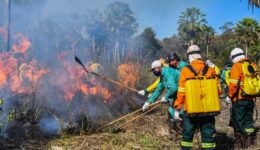SOS Pantanal promove show de arrecadação de fundos para enfrentar seca
