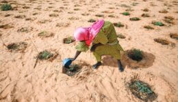 ACNUR lança fundo para proteger refugiados das ameaças climáticas