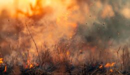 Apesar de queda no desmatamento, incêndios aumentam na Amazônia