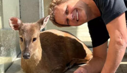 ONG ZooFoz: empresário mora com família e 130 espécies de animais em SP