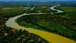 Edital Sebrae Startups apoia negócios inovadores no Pantanal e Cerrado